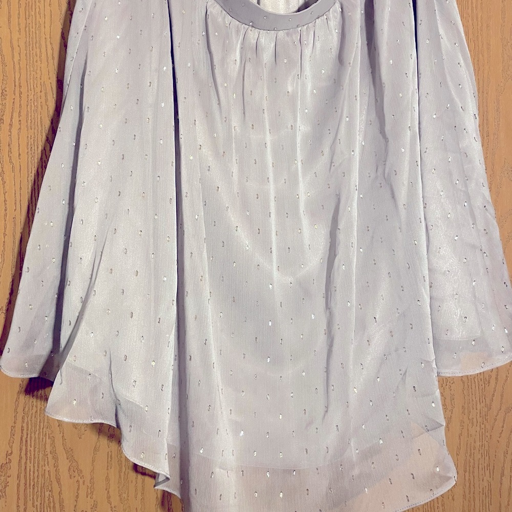 Grey Shiny “Skirt”